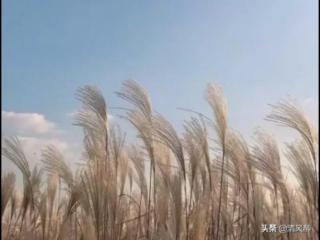 晒男朋友的说说简短的（朋友圈晒男朋友的文案说说）