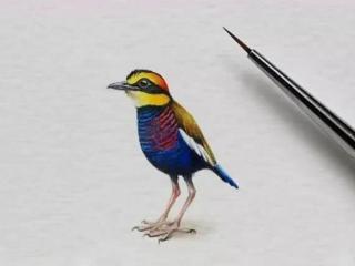 社会现实人情冷暖句子（看清社会现实人情冷暖的句子）