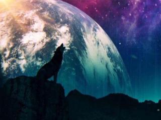 射手座智商多少，射手座的智商到底有多少