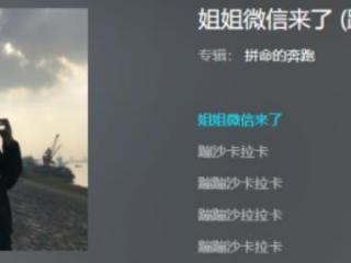 沙卡拉卡是什么歌（姐姐微信来啦蹦沙卡拉卡什么歌）