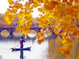 秋天的句子（描写秋天的好词好句好段）