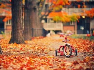 失父之痛的句子（中年却经历丧妻之痛）