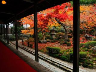挽回女朋友触动心的话，关于挽回女朋友感动的话