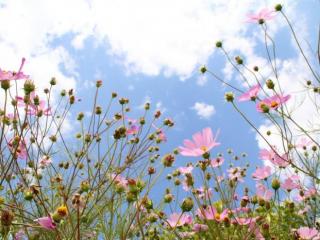 如何感应到别人想你（是会和你有心灵感应的）