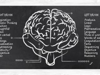 如何刺激大脑变聪明（让你变得更聪明的五个行为）