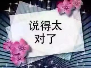 三观不合的经典句子（思想有别；三观不合）