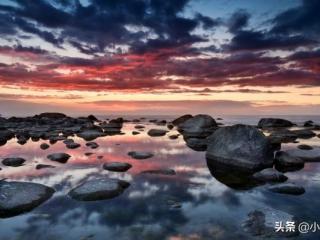 祝福生日快乐的诗句（祝寿诗句_描写祝寿的11首古诗）