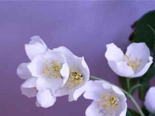 如何经营一段感情（你会懂得如何经营自己的感情）