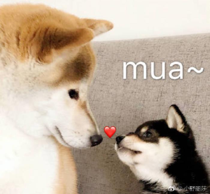 情人节情话简短一句话，情人节表白情话简短一句话