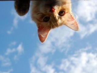 网上交友怎么打招呼（微信加人打招呼的句子）