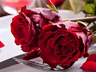 情人节送老婆什么（情人节送老婆什么花）