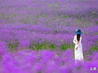 女儿是父母压榨的对象（长大后还要被父母压榨的女儿）