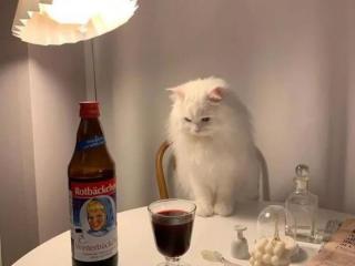 情侣怎么聊天才不无聊，聊天时总是呆板无趣