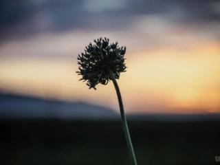 感慨的话（发自内心感慨的说说）