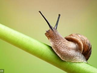 女朋友睡前小故事暖心，女朋友睡前暖心童话小故事