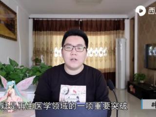 年轻人脱发能恢复吗（困扰当代年轻人大难题）