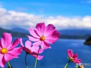 别让自己委屈（也别让自己太过委屈）