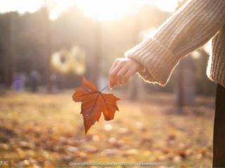 暖心到哭的话（忍不住收藏的一句暖心的话）