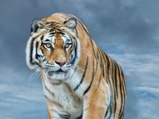 女生喜欢腹肌原因，大家怎么看待女生喜欢男生的腹肌