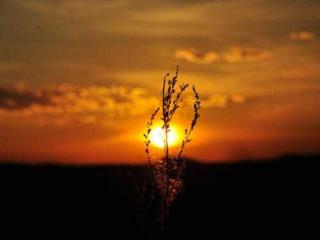 难忘妈妈的陪读经历（青未了｜难忘母亲陪读的日子）