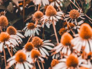 一封写给爱人的感人情书，写给异地爱人的情书