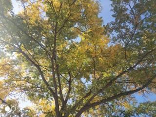 陪读母亲的日子（——陪读妈妈的一天）