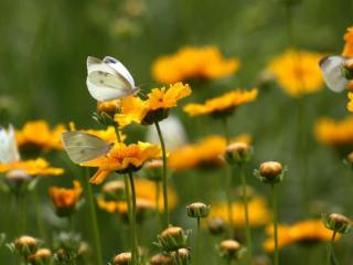 你是我心中最爱的人，你是我心中唯一真爱过的人