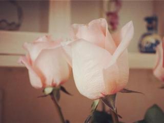 男人睡得越多感情越深，判断一个男人有多爱你