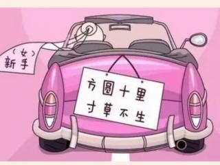 女生说开车啥意思（聊聊女性开车的那些事儿）