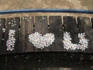 简短的情话，爱情话语简短却耐人寻味