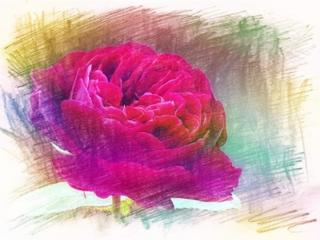 甜到死的情话5个字（比较新颖的撩人情话）