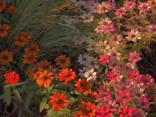 经典英文句子（经典正能量的英文句子）