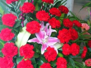 送花情话最暖心短句，七夕表白情话短句爱的表白语