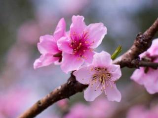 男生避开对视是不喜欢，一个男人喜不喜欢你