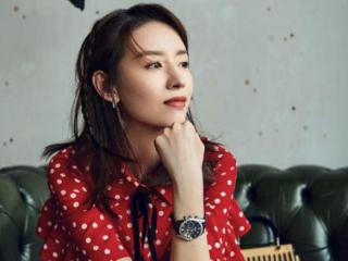 潘粤明董洁未离婚（董洁与潘粤明的婚姻）