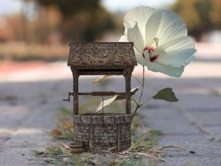 男人怕女人沉默吗，男人最怕女人的沉默