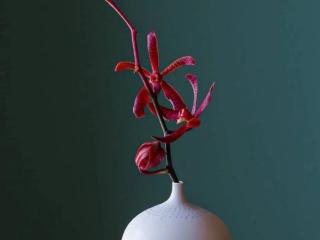 情话短句10字（十个字以内的文艺小短句）