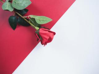 男人遇到真爱的征兆，男人出现真爱的第一征兆