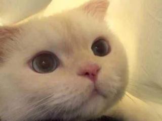 男人换了微信头像征兆，男生什么情况会换头像