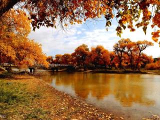 描写秋天景色的一段话（描写秋天的好词好句好段）