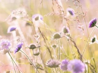 男人爱上一个人的表现，男人一旦爱上了别人