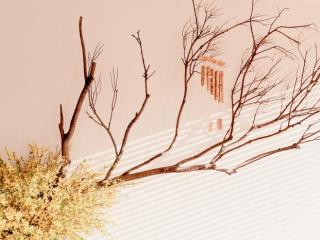 男人发朋友圈暗示你，会在微信上这样暗示你