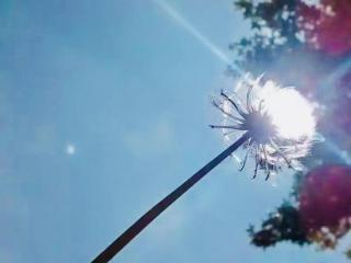 梦和现实是相反的吗（梦和与现实真的是相反的吗）