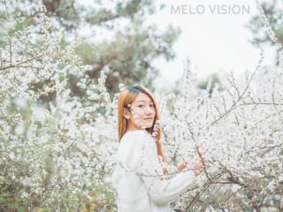 描写樱花的唯美段落（邂逅于迷乱的樱花流）