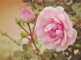 写给女人（写给女人的肺腑之言）