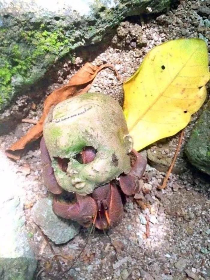 看似正常细思极恐图片却又细思极恐的照片