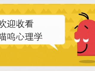 巨蟹女处女男，巨蟹女和处女男的爱情