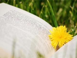 女人奔四十感言，一个四十岁中年女人的感悟