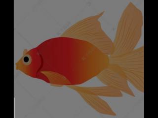 口头禅的意思（口头禅是心里状态的真实反应）