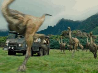 恐龙化石是怎么形成的（原来恐龙化石是这样形成的）